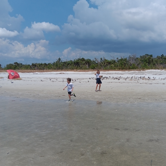 Meet your Posher, Ally - Picture 6 of 13